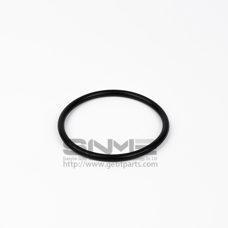 O-RING 500001035E